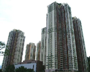 Shatin 4C-RR.JPG